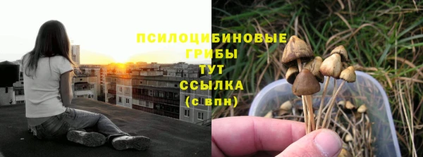 спиды Абинск