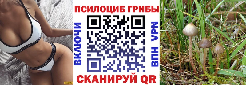 Псилоцибиновые грибы Psilocybe  что такое   Кисловодск 