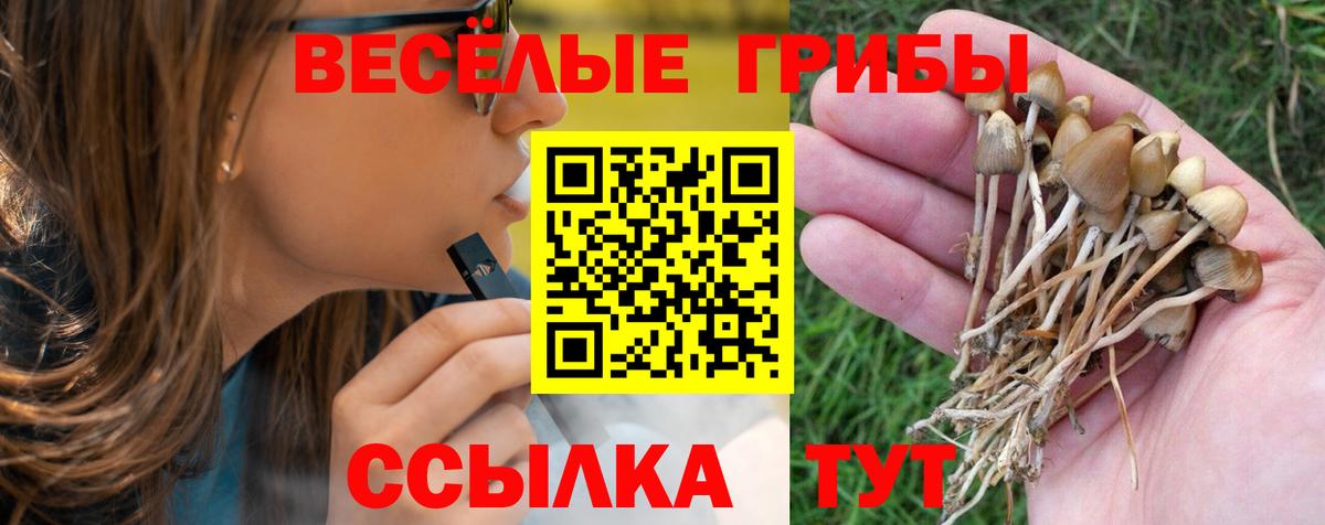 Псилоцибиновые грибы прущие грибы  Вход с VPN  Кисловодск 